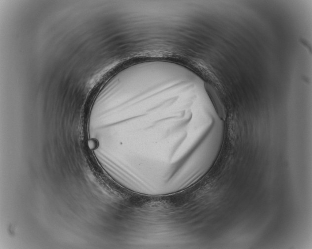 X0000103150536200809121818