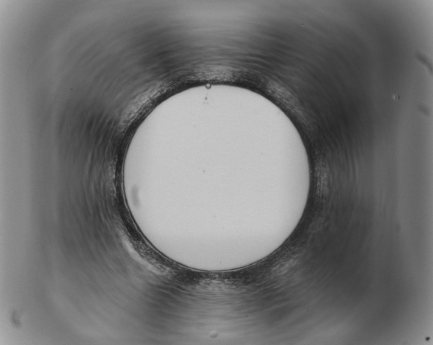 X0000103150538200809121818