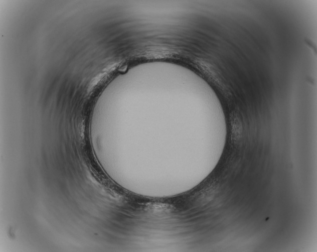 X0000103150539200809121818