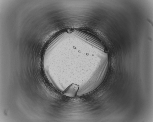 X0000103150540200809121818