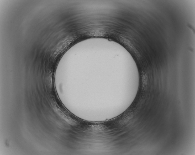 X0000103150541200809121818