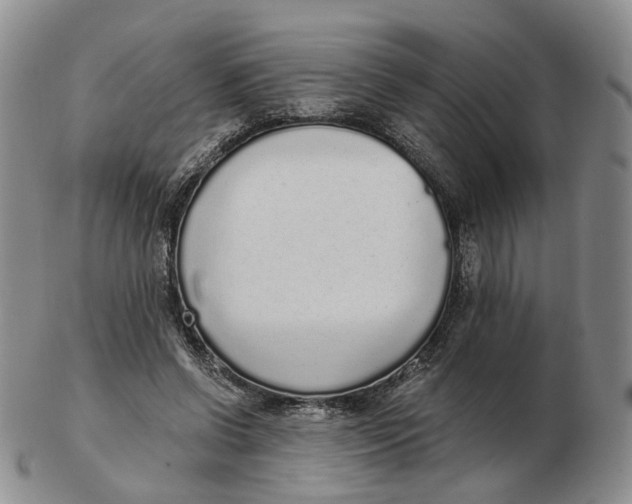 X0000103150542200809121818