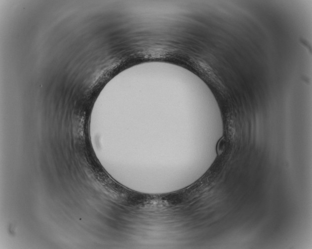 X0000103150543200809121818