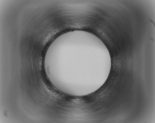 X0000103150544200809121818