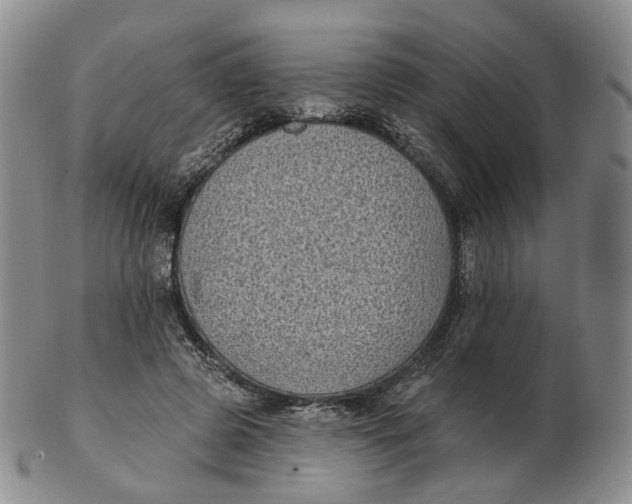 X0000103150545200809121818