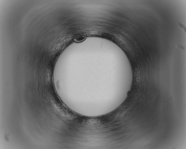 X0000103150546200809121818