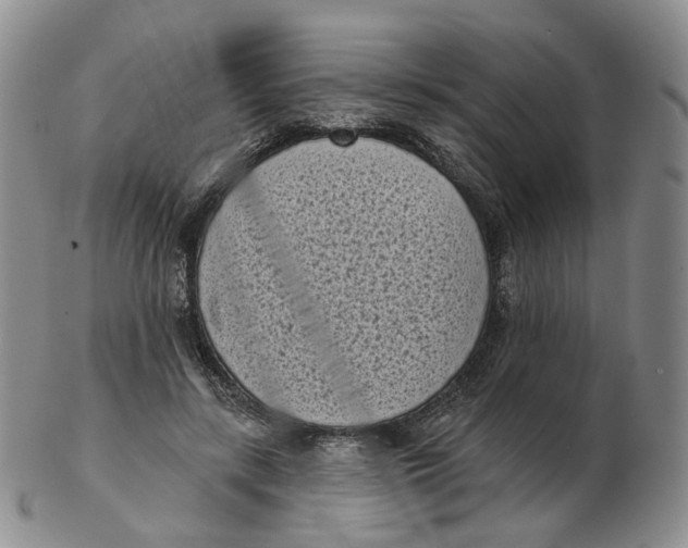 X0000103150547200809121818