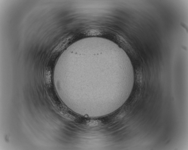 X0000103150549200809121818