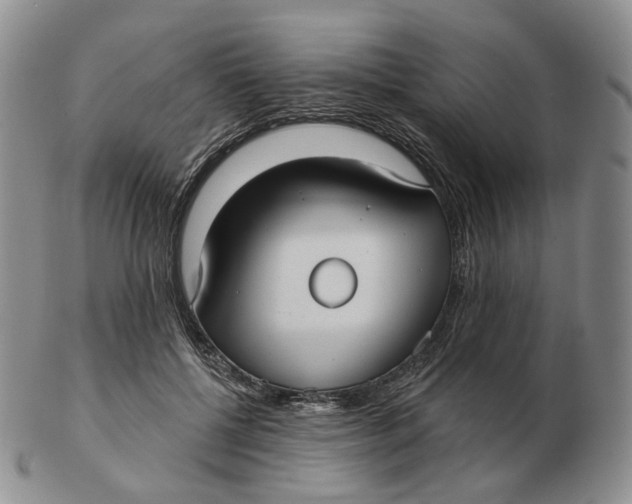 X0000103150552200809121818