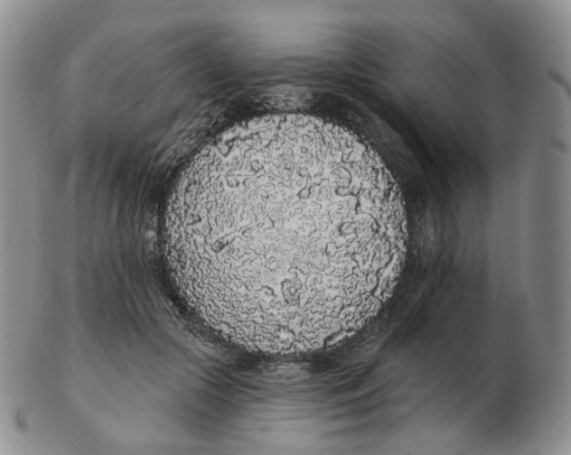 X0000103150553200809121818