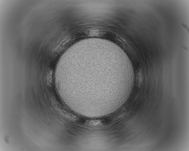 X0000103150554200809121818