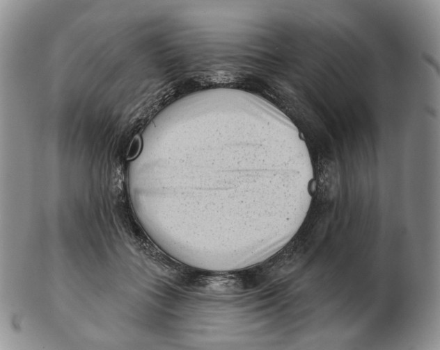 X0000103150555200809121818