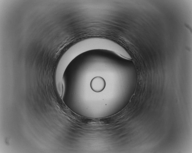 X0000103150556200809121818