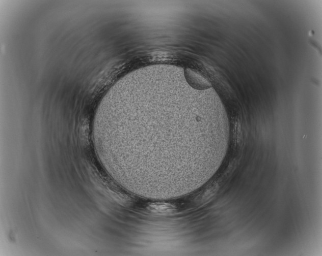 X0000103150557200809121818