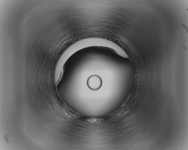 X0000103150558200809121818