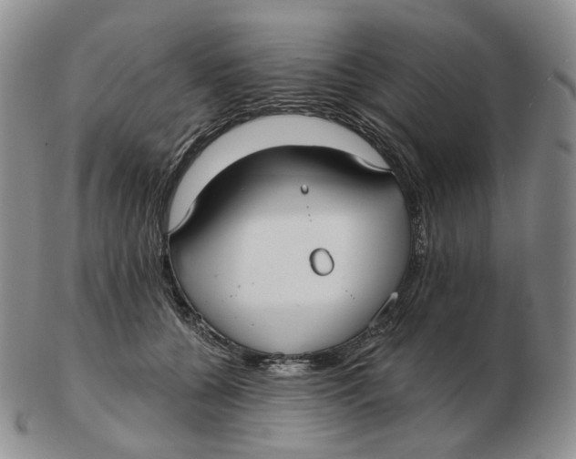 X0000103150560200809121818