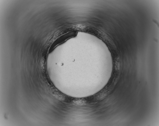 X0000103150561200809121818