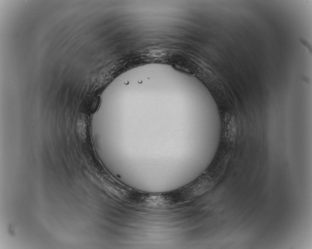 X0000103150562200809121818