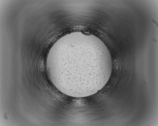 X0000103150564200809121818