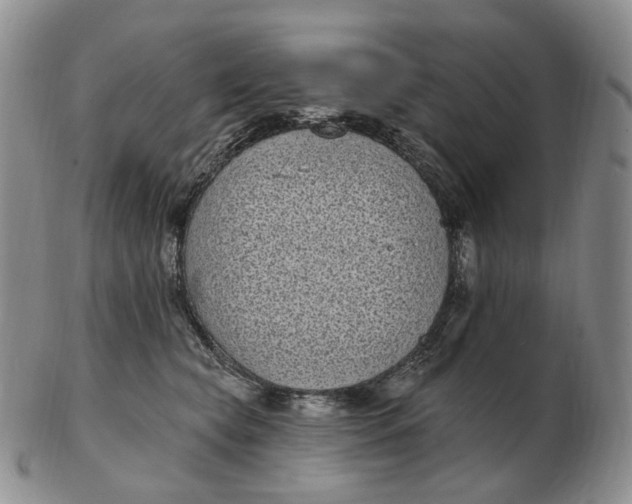 X0000103150565200809121818