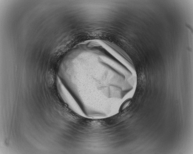 X0000103150566200809121818