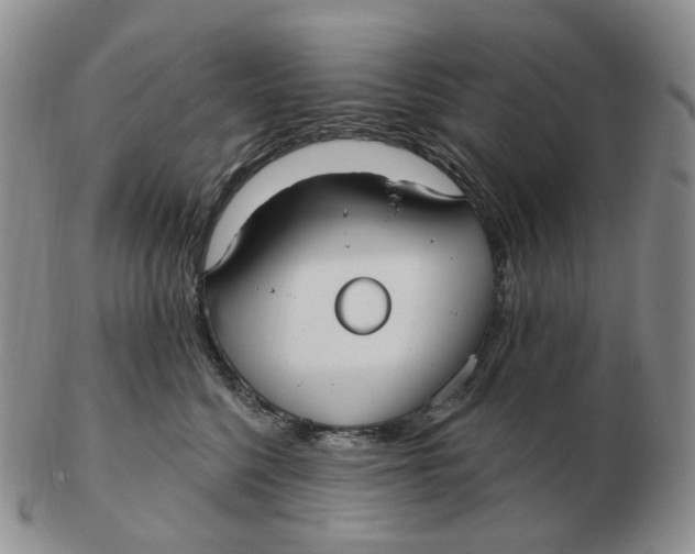 X0000103150568200809121818