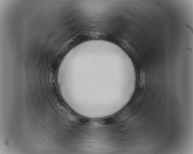 X0000103150569200809121818