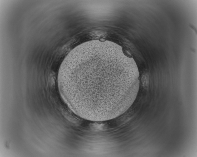 X0000103150570200809121818