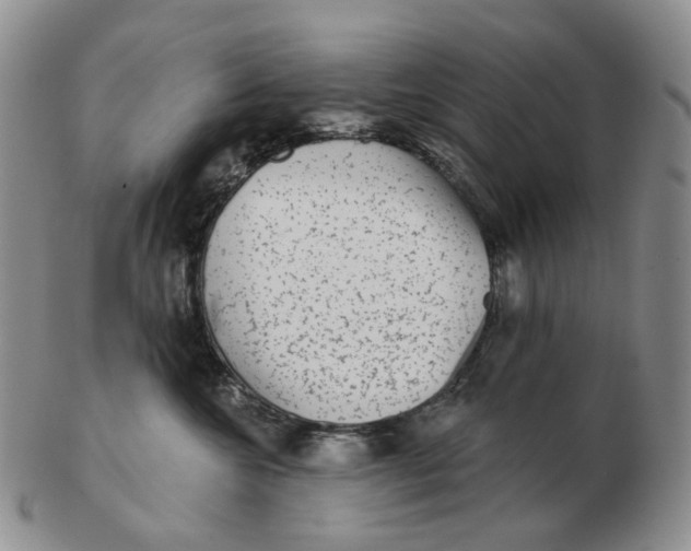 X0000103150572200809121818