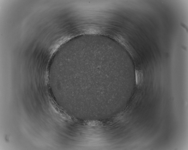 X0000103150579200809121818