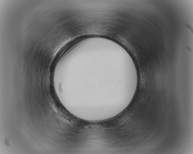 X0000103150580200809121818