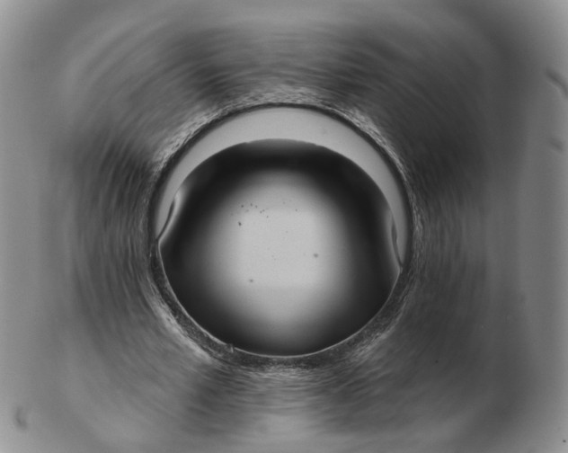 X0000103150581200809121818