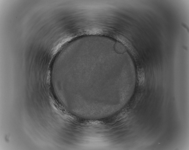 X0000103150583200809121818