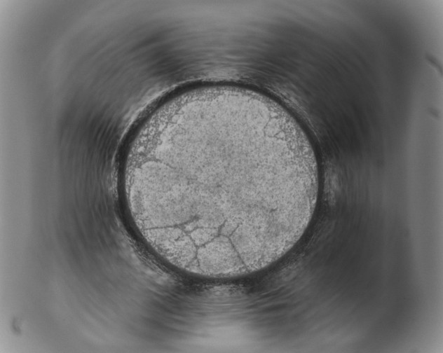 X0000103150584200809121818