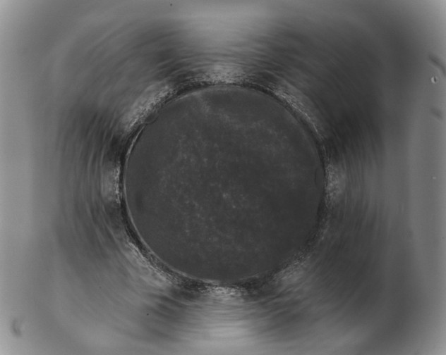 X0000103150585200809121818