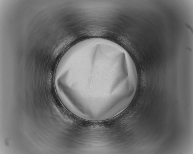 X0000103150586200809121818