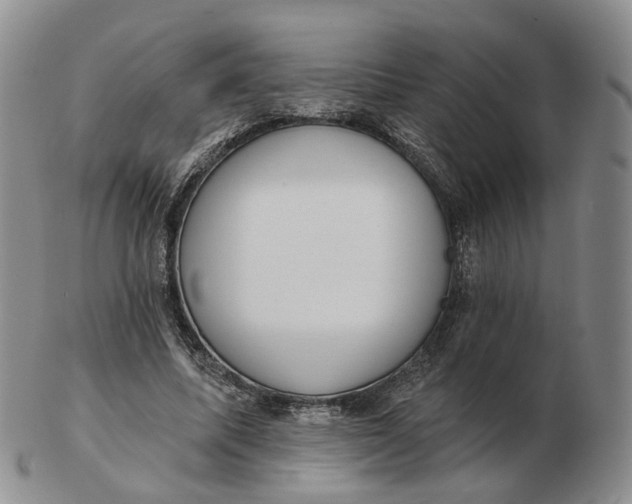 X0000103150587200809121818