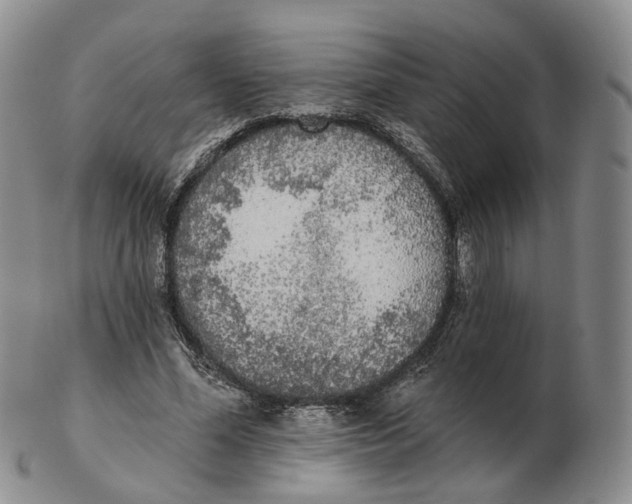 X0000103150588200809121818