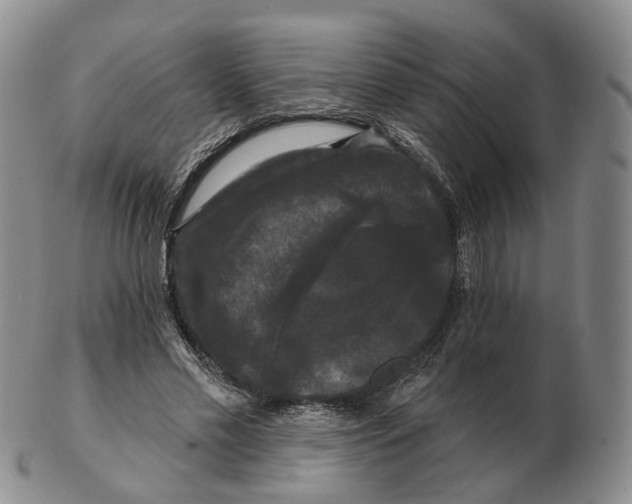 X0000103150589200809121818