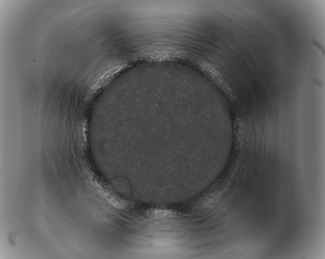 X0000103150590200809121818