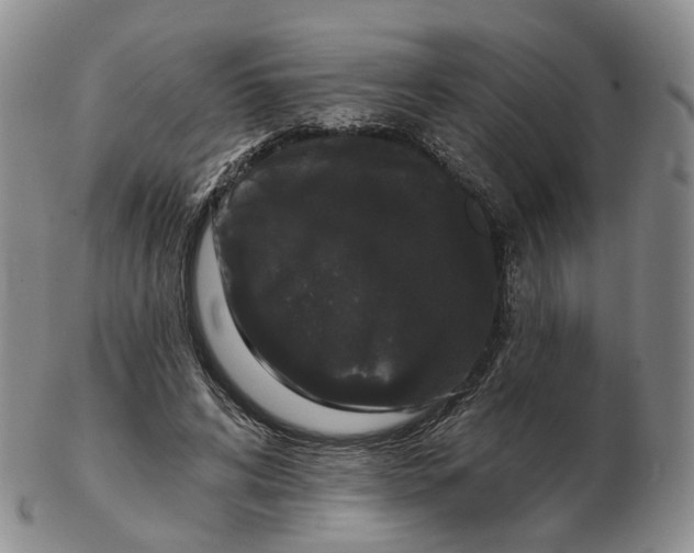 X0000103150592200809121818