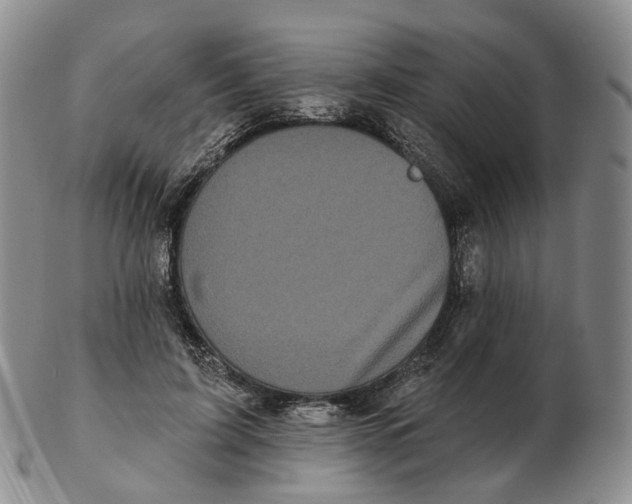 X0000103150595200809121818