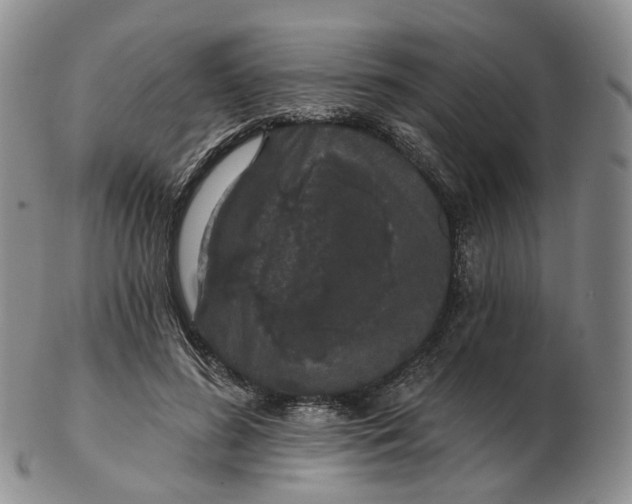 X0000103150596200809121818