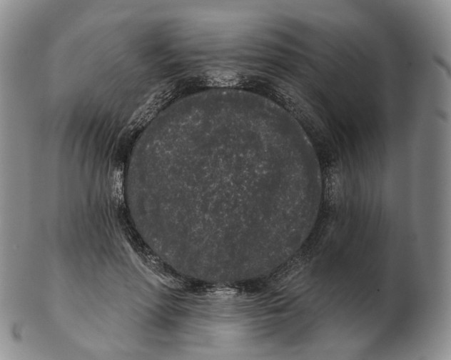 X0000103150598200809121818