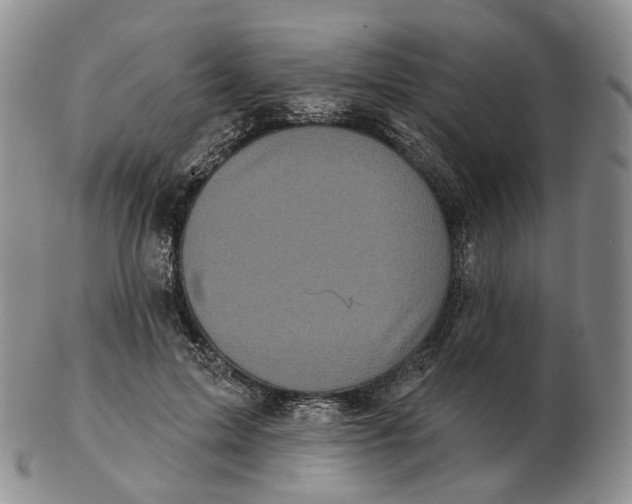 X0000103150599200809121818