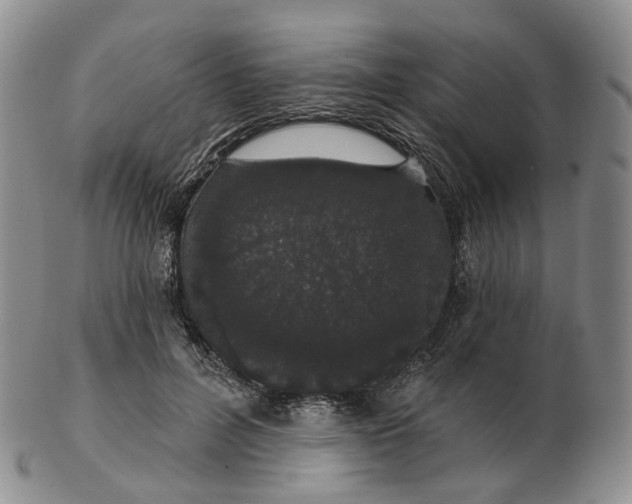 X0000103150600200809121818