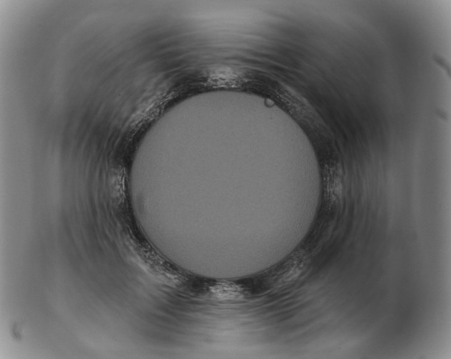 X0000103150603200809121818