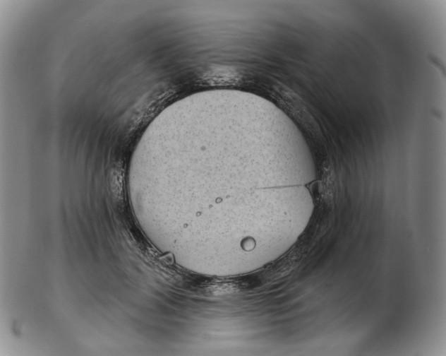 X0000103150604200809121818