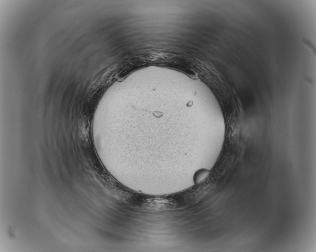 X0000103150607200809121817