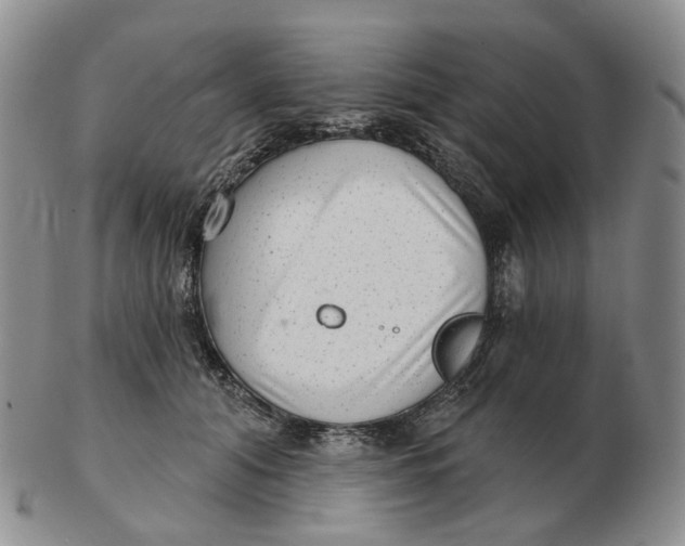 X0000103150608200809121817